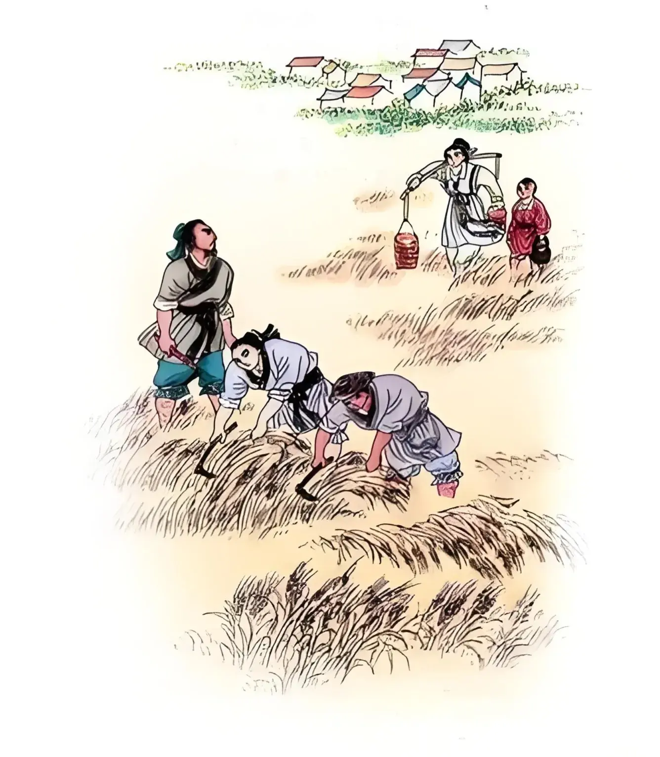 三夏时节喜丰收,农民忙碌笑开颜:金黄麦田见证辛勤与希望