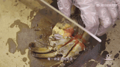 打败顺德,被陈晓卿称为“中国美食孤岛”,海鲜粥鲜到眉毛,人均¥50+生腌吃嗨!