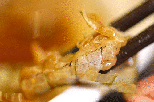 打败顺德,被陈晓卿称为“中国美食孤岛”,海鲜粥鲜到眉毛,人均¥50+生腌吃嗨!