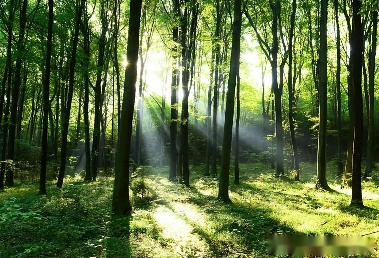 河北将要大变天!8-10级暴风雨,强对流即将袭来!气温最低19度