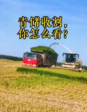 收割青储麦事件起因是“阴谋”还是“管控”,争论激烈,你怎么看?