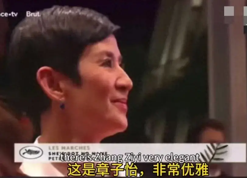 戛纳红毯认错人?外媒错把吴君如认成章子怡