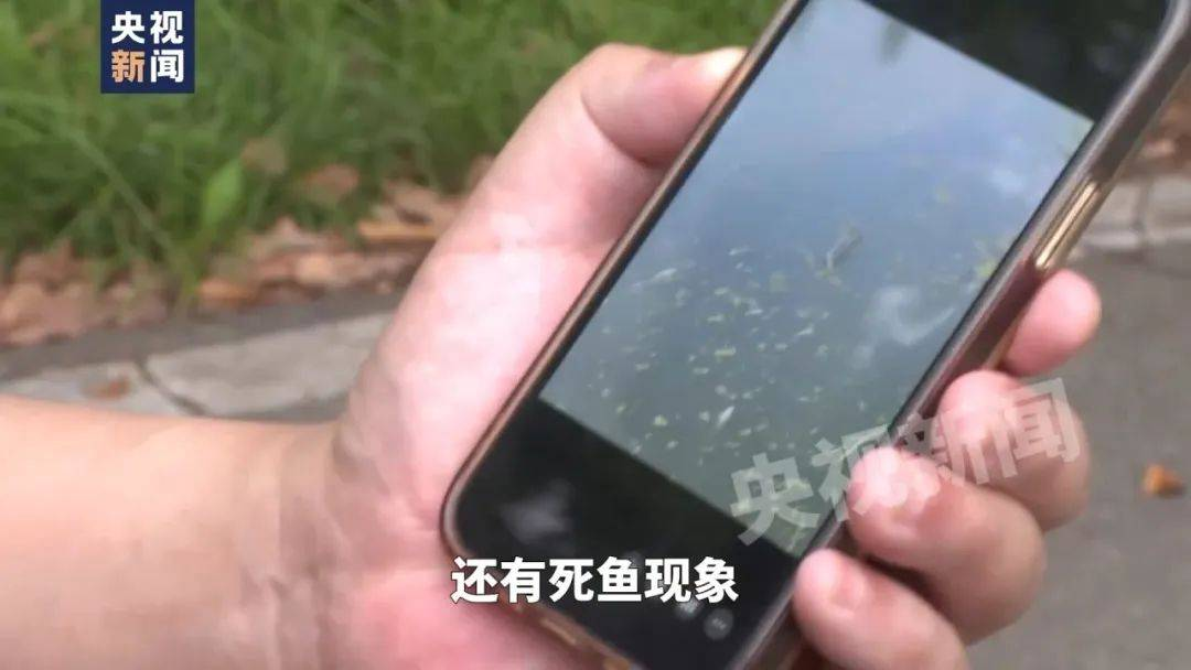 安徽:组成联合调查组彻查滁河水体污染事件,严肃追责问责