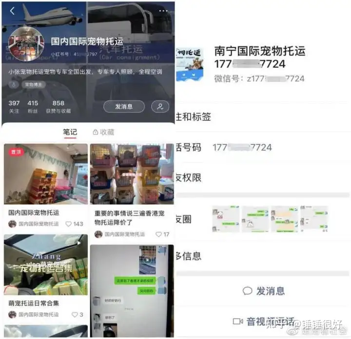 托运宠物回国,托运公司竟偷渡,导致宠物被查扣