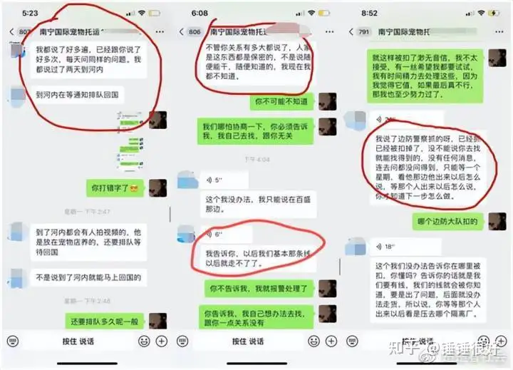 托运宠物回国,托运公司竟偷渡,导致宠物被查扣