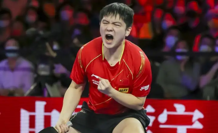 祝贺!樊振东4-1击败日乒名将张本智和,夺得WTT世界杯男单冠军!
