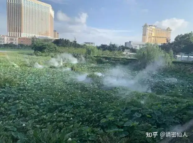 赌王之子何猷君结婚,这场豪门婚宴里你羡慕吗?