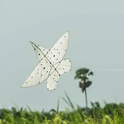 【网络中国节·端午】 一起传承端午节的十大习俗