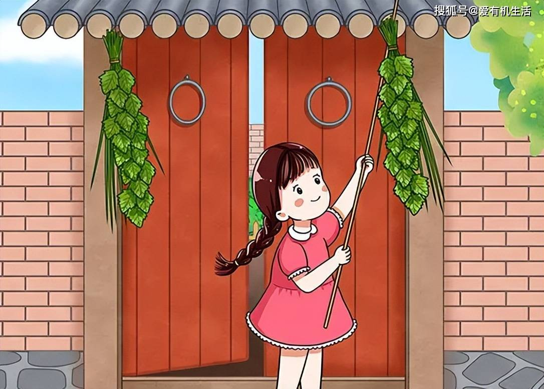 端午节的习俗:端午节为什么要挂艾草