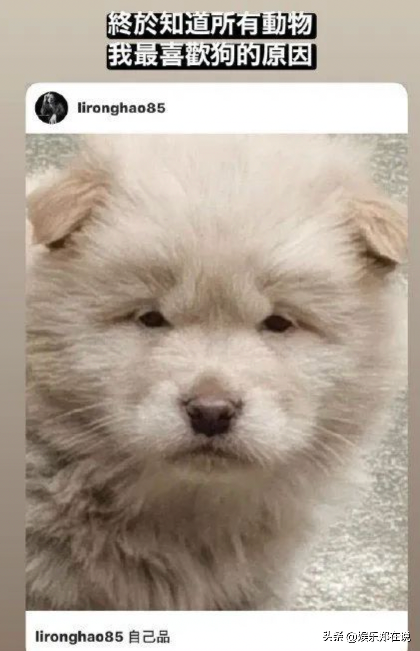 李荣浩晒照为杨丞琳庆生,已是第10年发文,一细节看出两人真状态