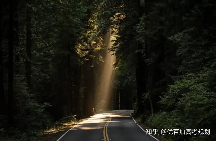 和高考有关的青春记忆-青春高考的文案