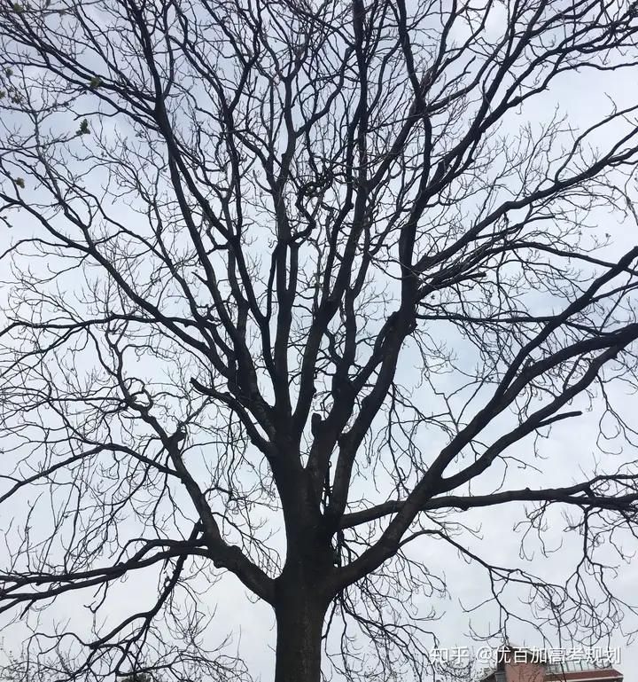 和高考有关的青春记忆-青春高考的文案