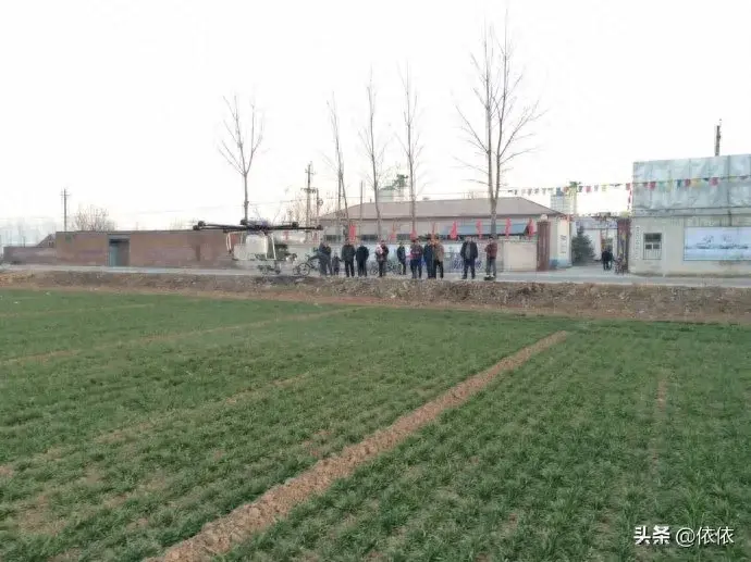 安阳千亩无人农场实现小麦收割,农业智能化迈出新步伐!-安阳周边农场