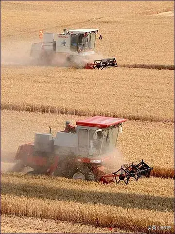 安阳千亩无人农场实现小麦收割,农业智能化迈出新步伐!-安阳周边农场