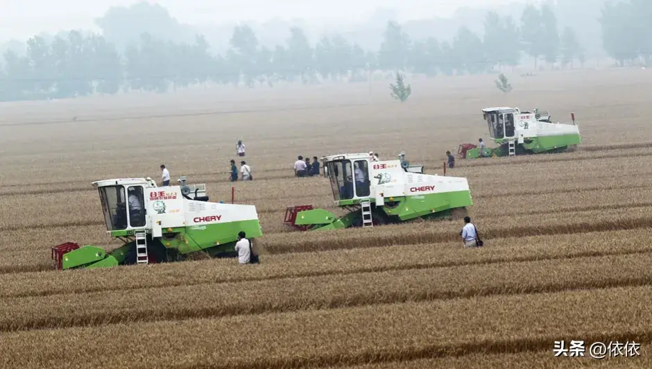 安阳千亩无人农场实现小麦收割,农业智能化迈出新步伐!-安阳周边农场