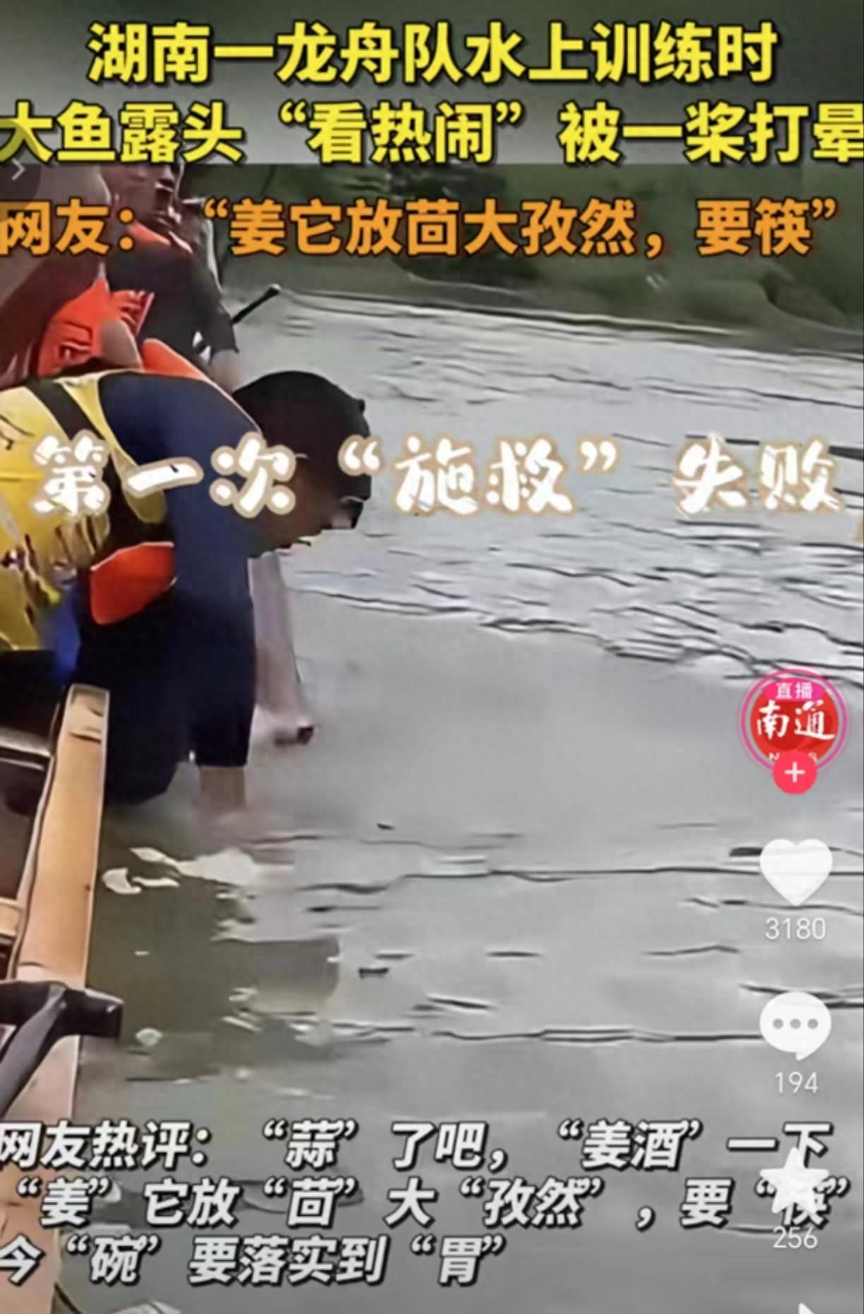 笑喷!62斤大鱼露头看划龙舟被一浆拍晕,网友评论神了!-全国呼吸内科医院排名最新