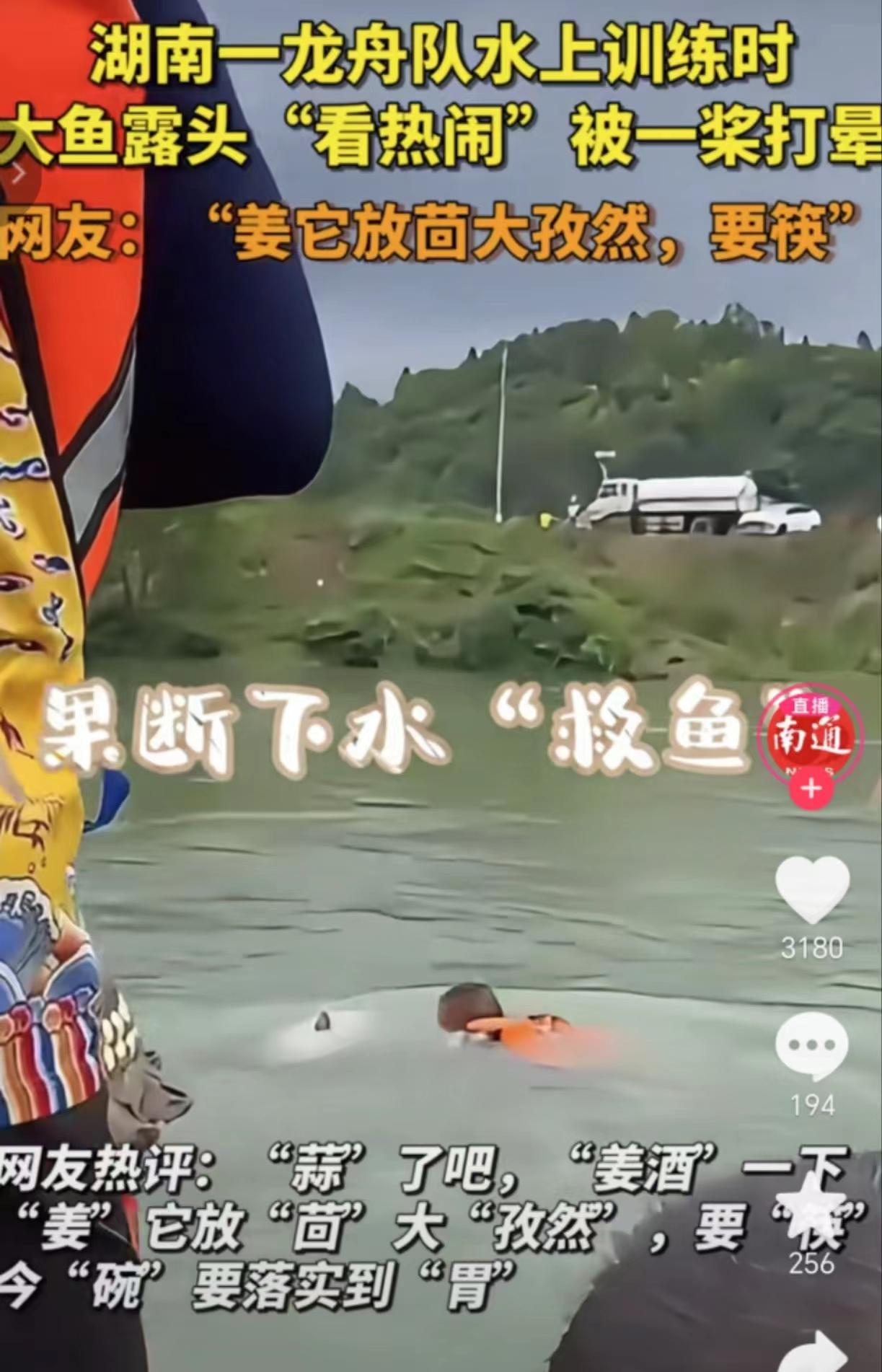 笑喷!62斤大鱼露头看划龙舟被一浆拍晕,网友评论神了!-全国呼吸内科医院排名最新