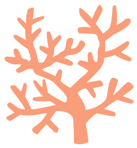 海洋高温拉警报!NOAA证实:全球第四次大规模珊瑚白化,过半数珊瑚礁陷入危机...-全球珊瑚白化事件