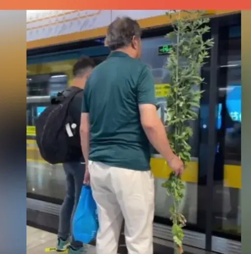 一分钟来看新鲜事,6月10号傍晚6点01分最新要闻如下