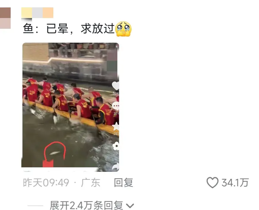 南北方划龙舟比赛差别有多大?评论区简直笑岔气儿了!-北方为什么不赛龙舟