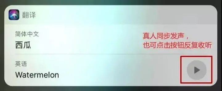 iPhone自带中英文翻译功能,实时翻译还免费-苹果自带英文翻译