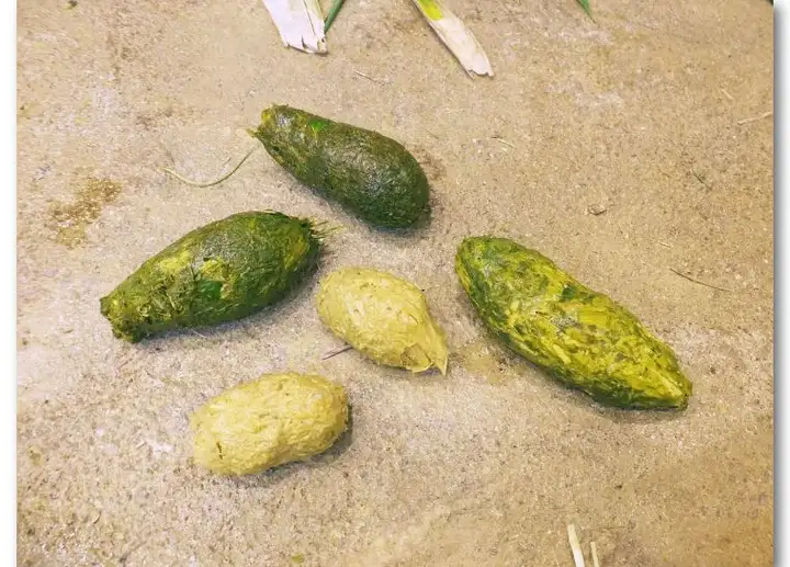 这个网红很嚣张,过生日发了张“粑粑照”给粉丝当福利-网红生日祝福语录简短