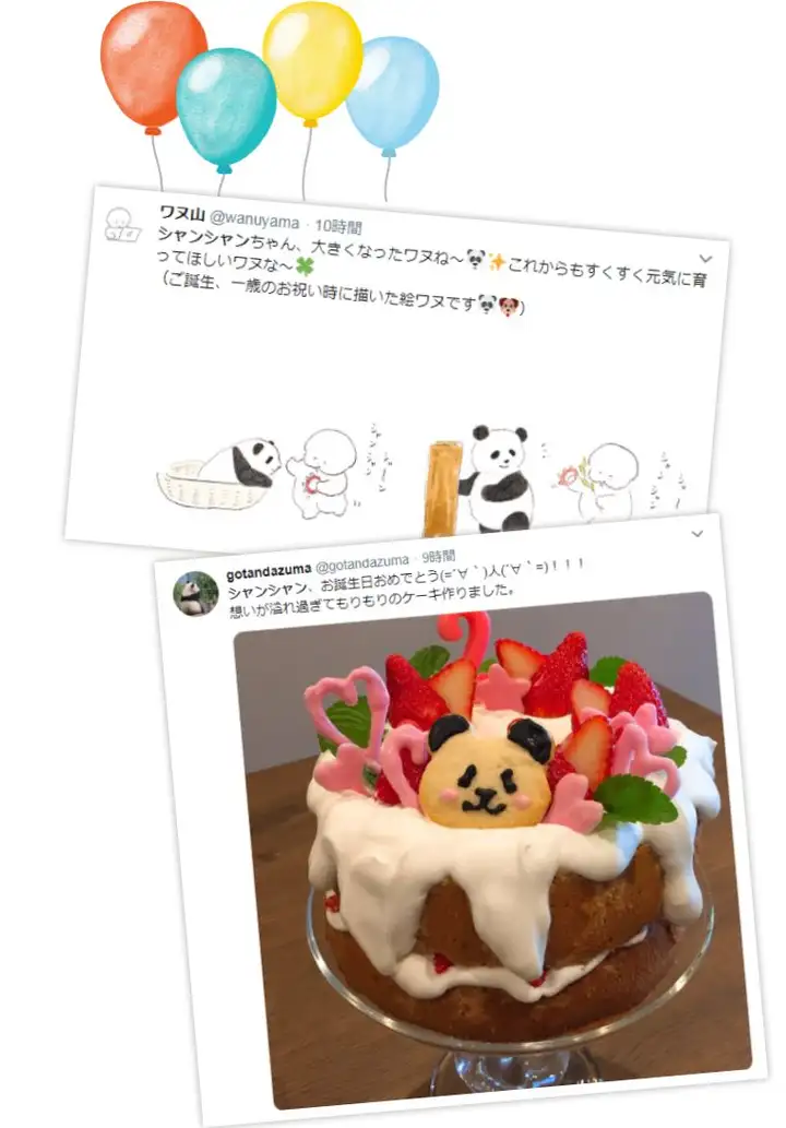 这个网红很嚣张,过生日发了张“粑粑照”给粉丝当福利-网红生日祝福语录简短