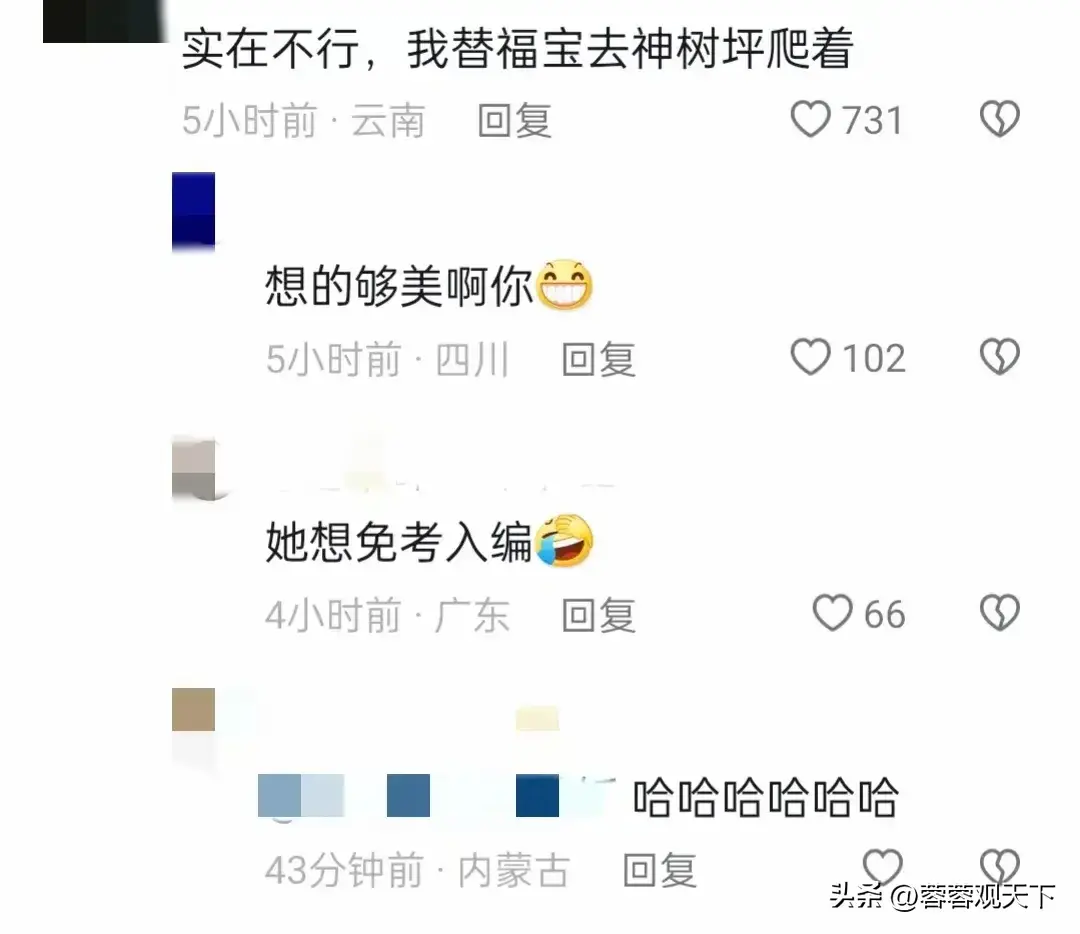 福宝全球直播营业了!评论区里闹翻天!请不要搞韩国饭圈那一套!-福宝集团