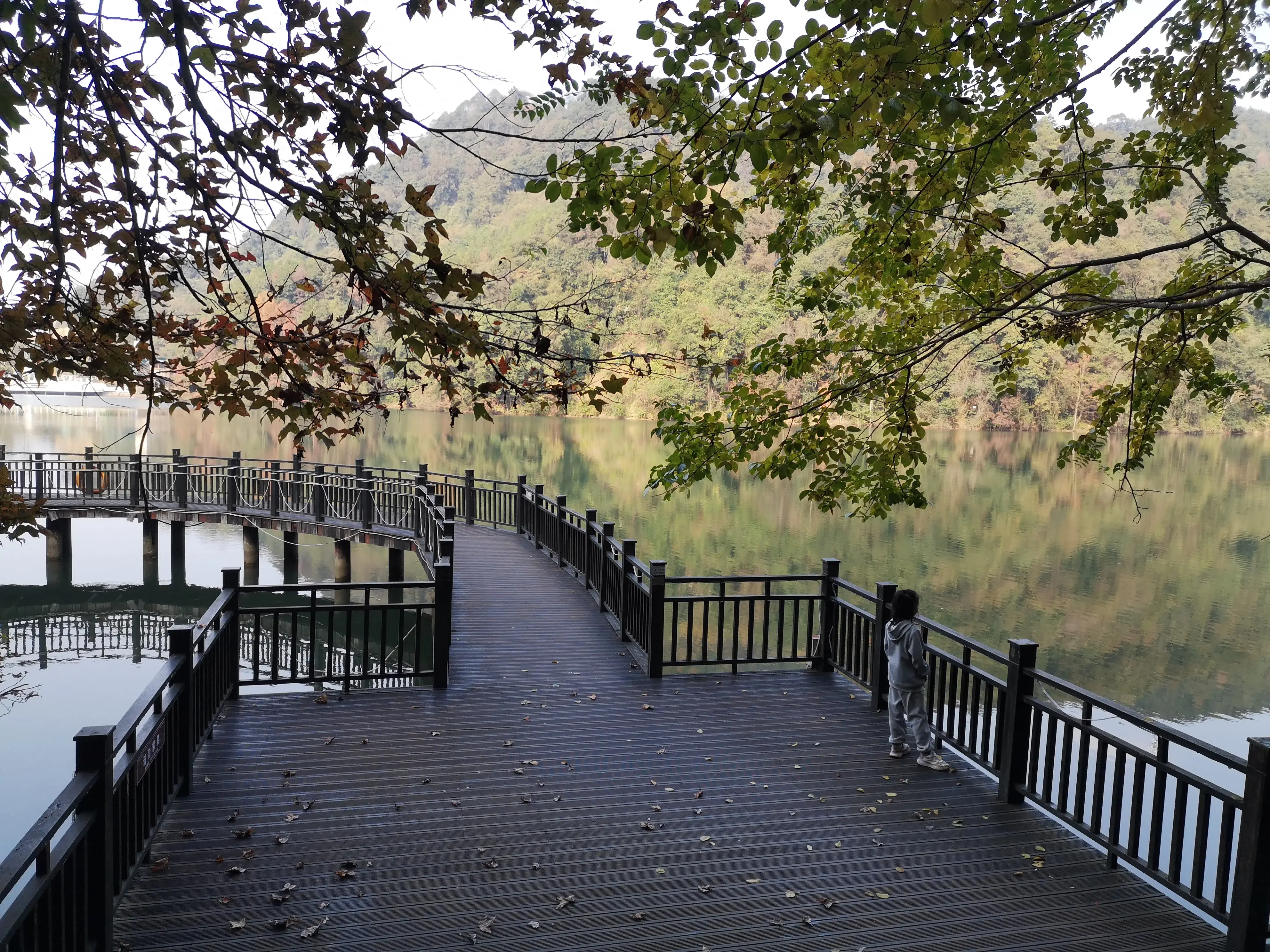 崇义,一个来了就不想走的地方-一个来了就走不了的城市