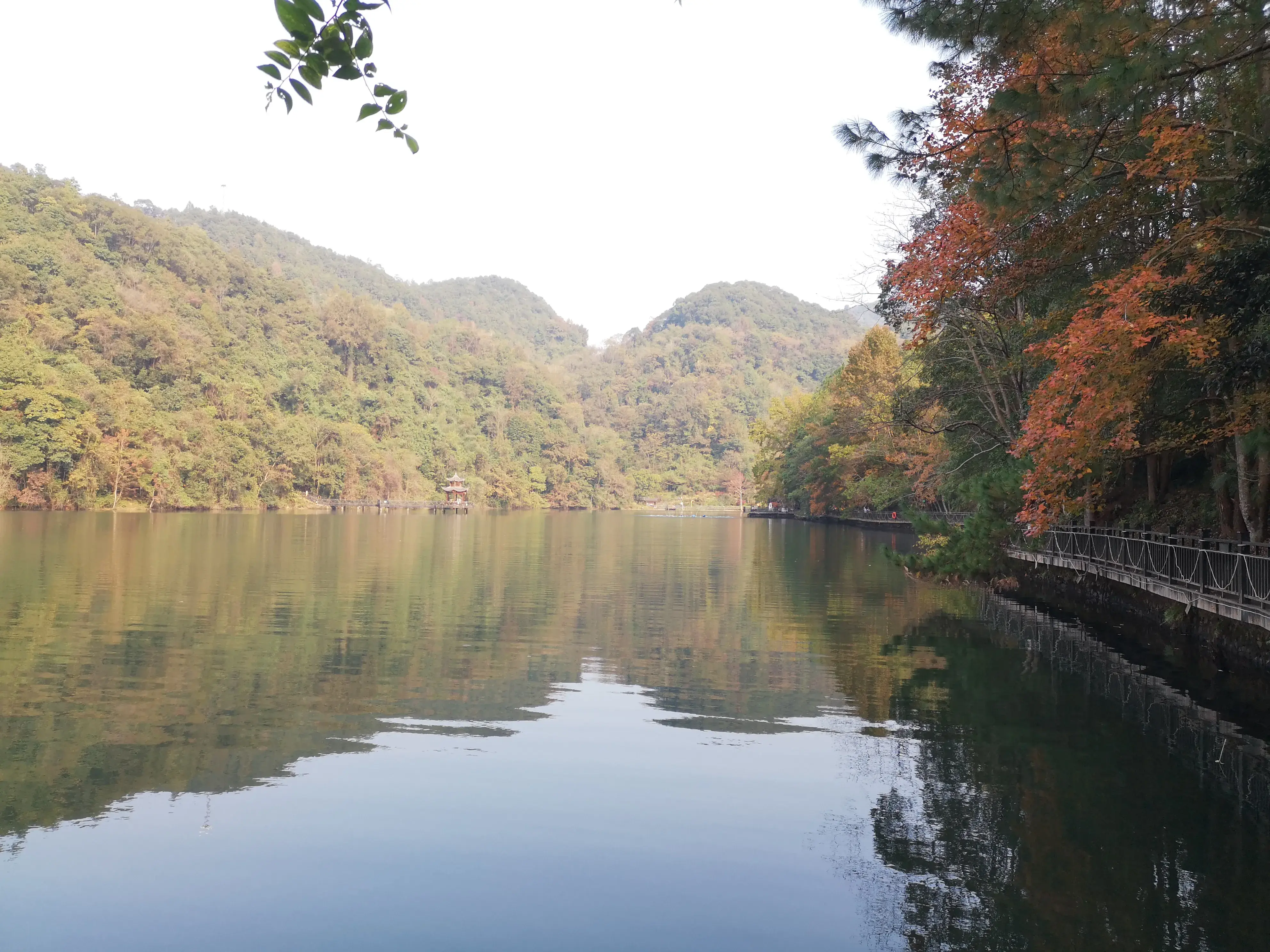 崇义,一个来了就不想走的地方-一个来了就走不了的城市