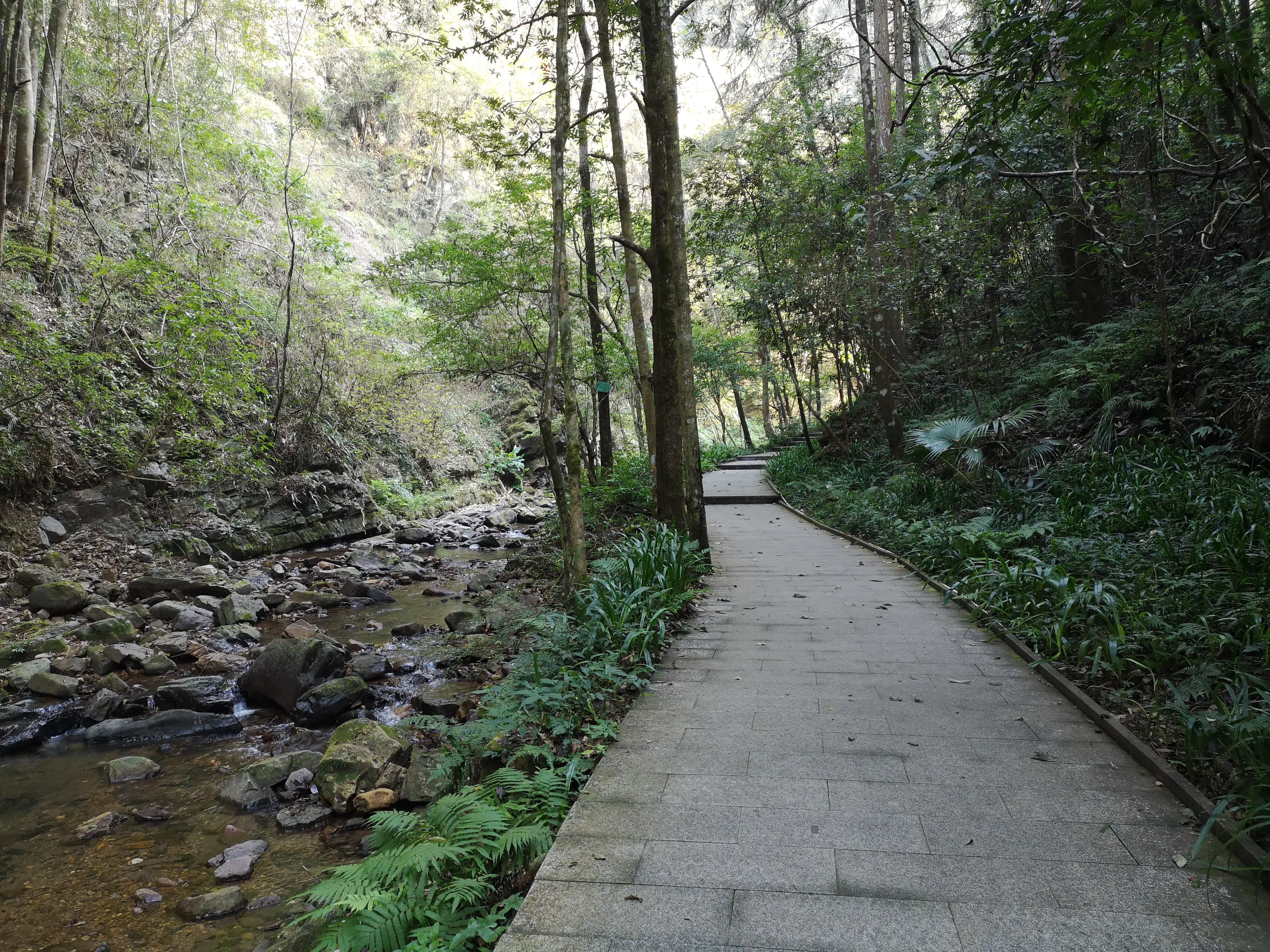 崇义,一个来了就不想走的地方-一个来了就走不了的城市