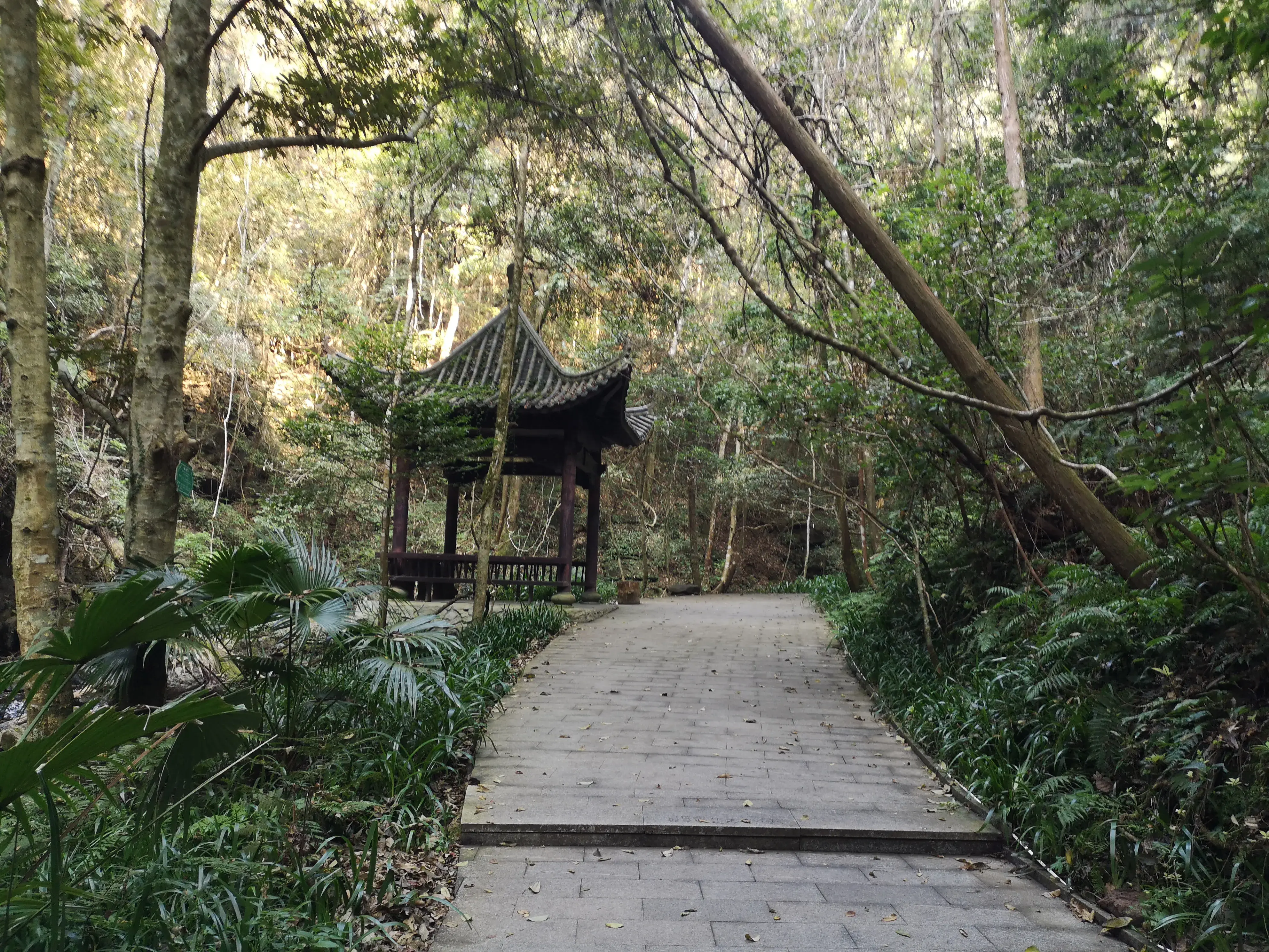 崇义,一个来了就不想走的地方-一个来了就走不了的城市