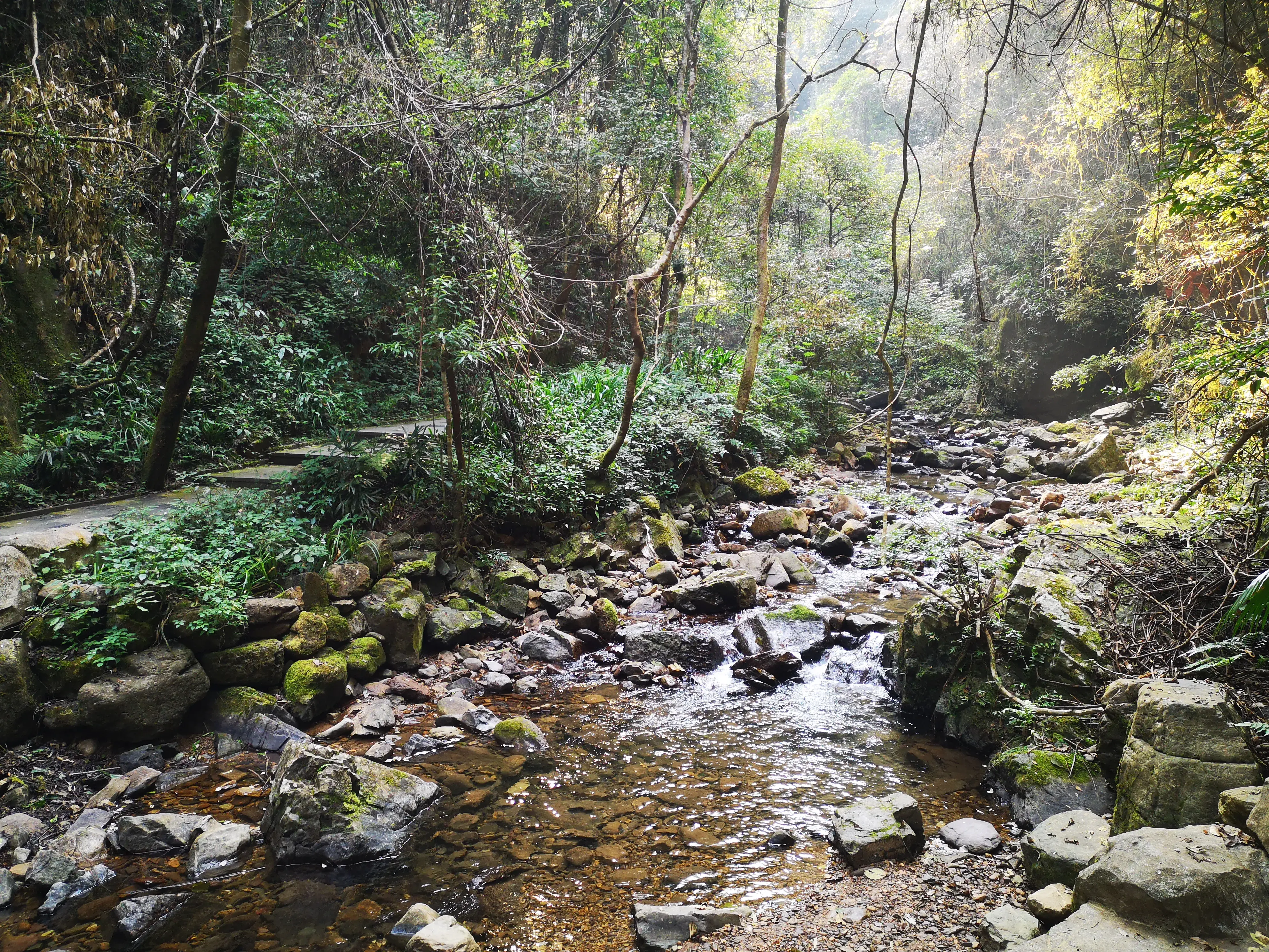 崇义,一个来了就不想走的地方-一个来了就走不了的城市