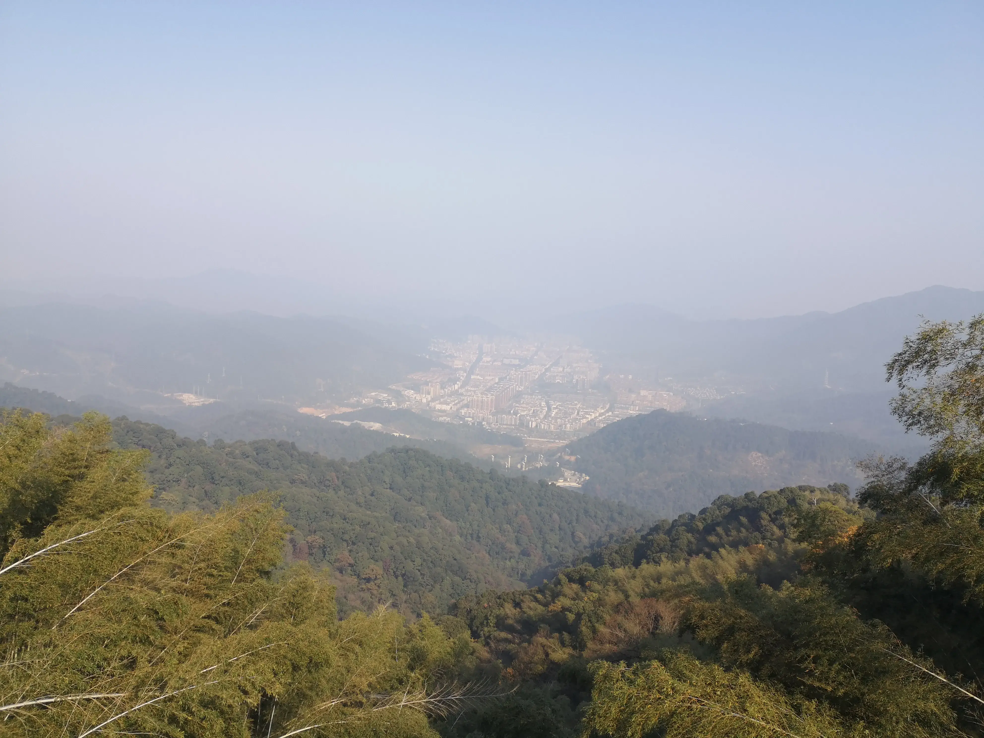 崇义,一个来了就不想走的地方-一个来了就走不了的城市