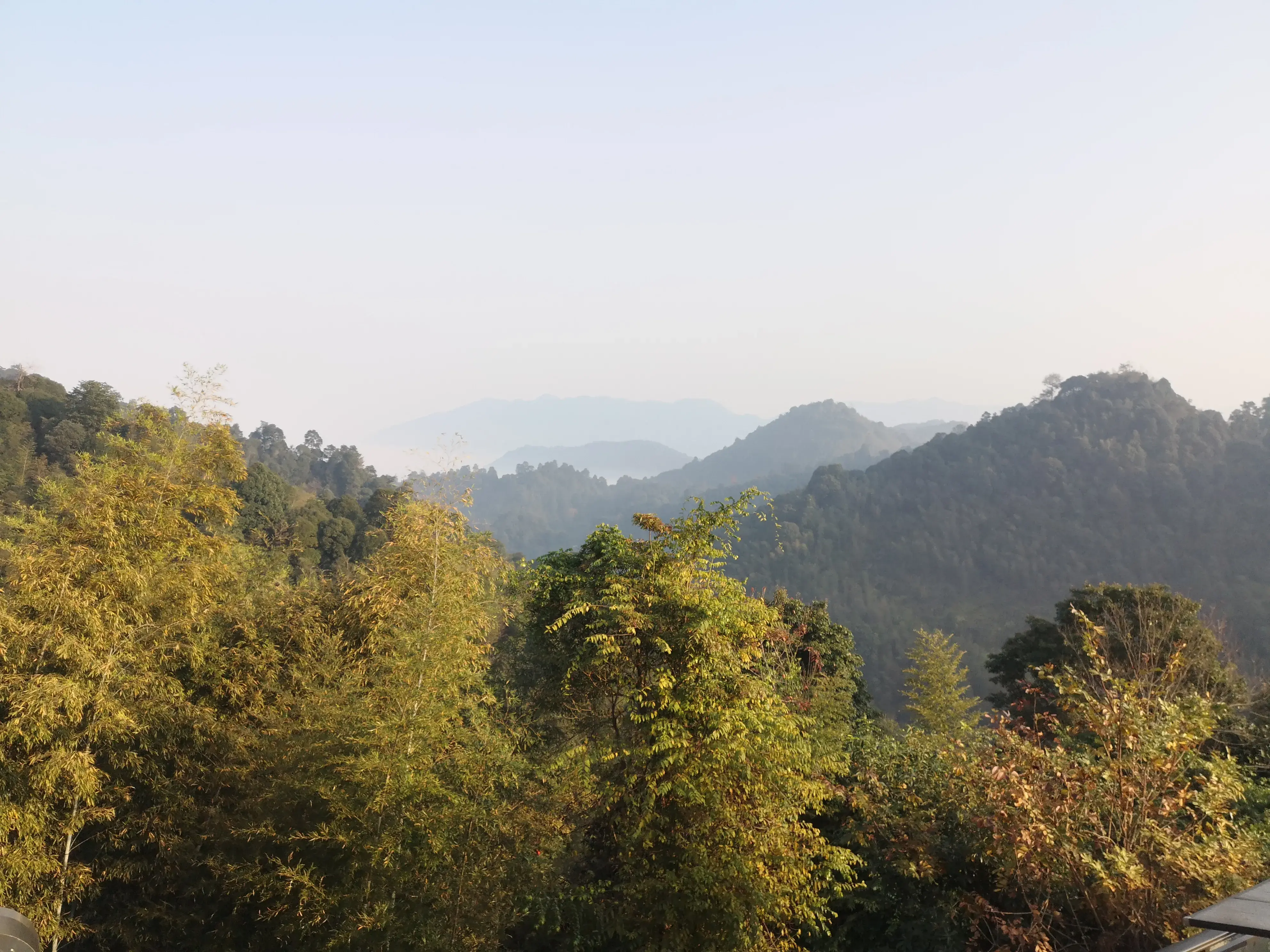 崇义,一个来了就不想走的地方-一个来了就走不了的城市