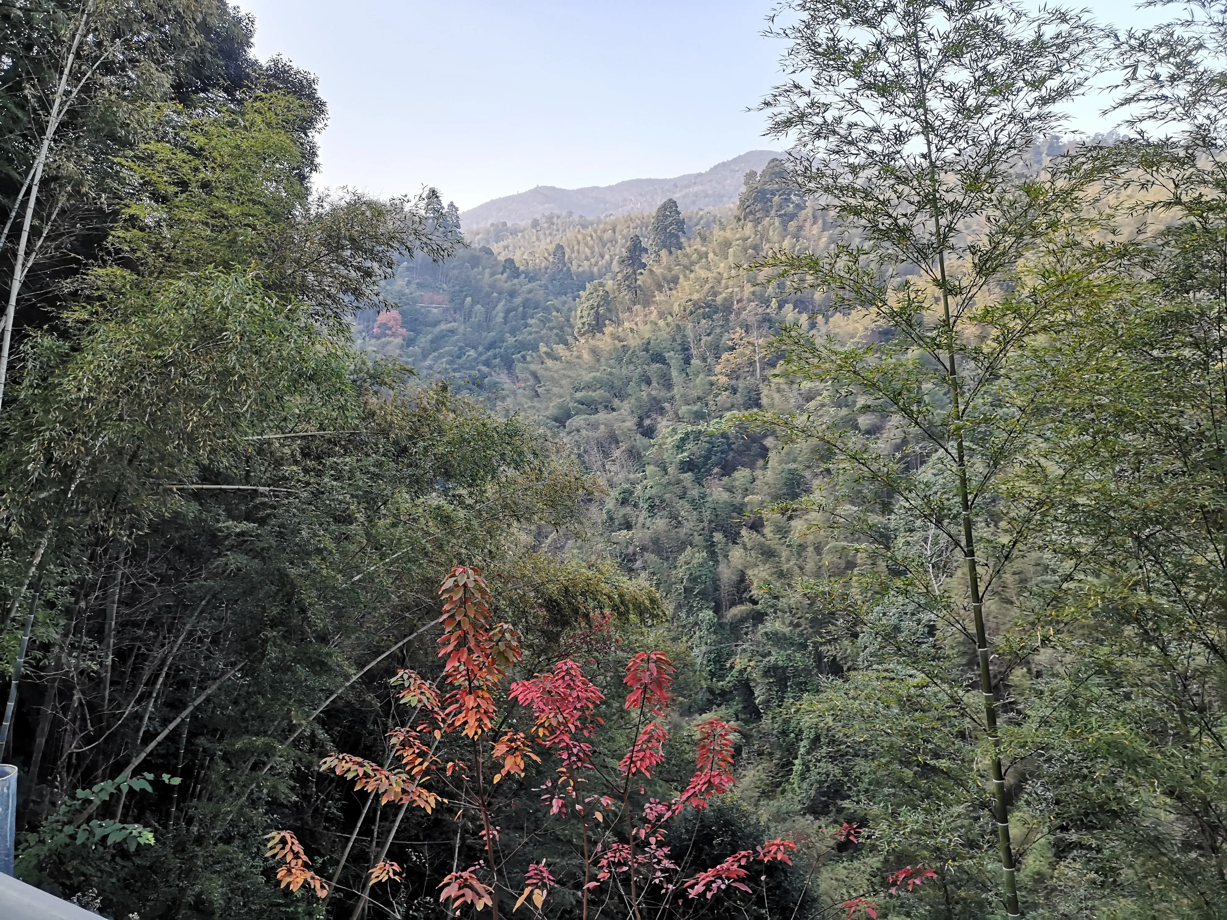 崇义,一个来了就不想走的地方-一个来了就走不了的城市