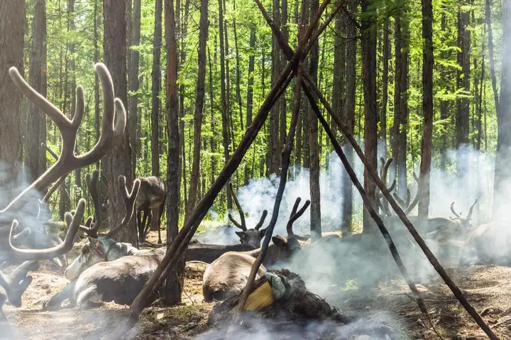【步步每月指南】12月最佳国内旅行地 | 奔赴一场冬日之约-12月份旅游好去处