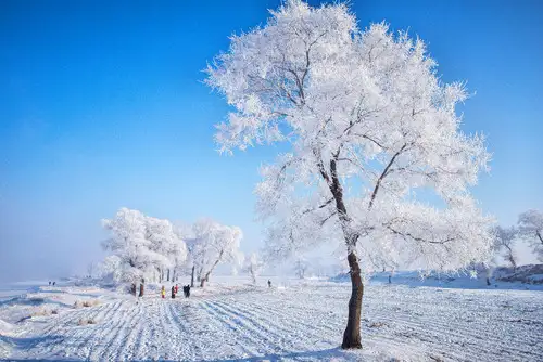 【步步每月指南】12月最佳国内旅行地 | 奔赴一场冬日之约-12月份旅游好去处