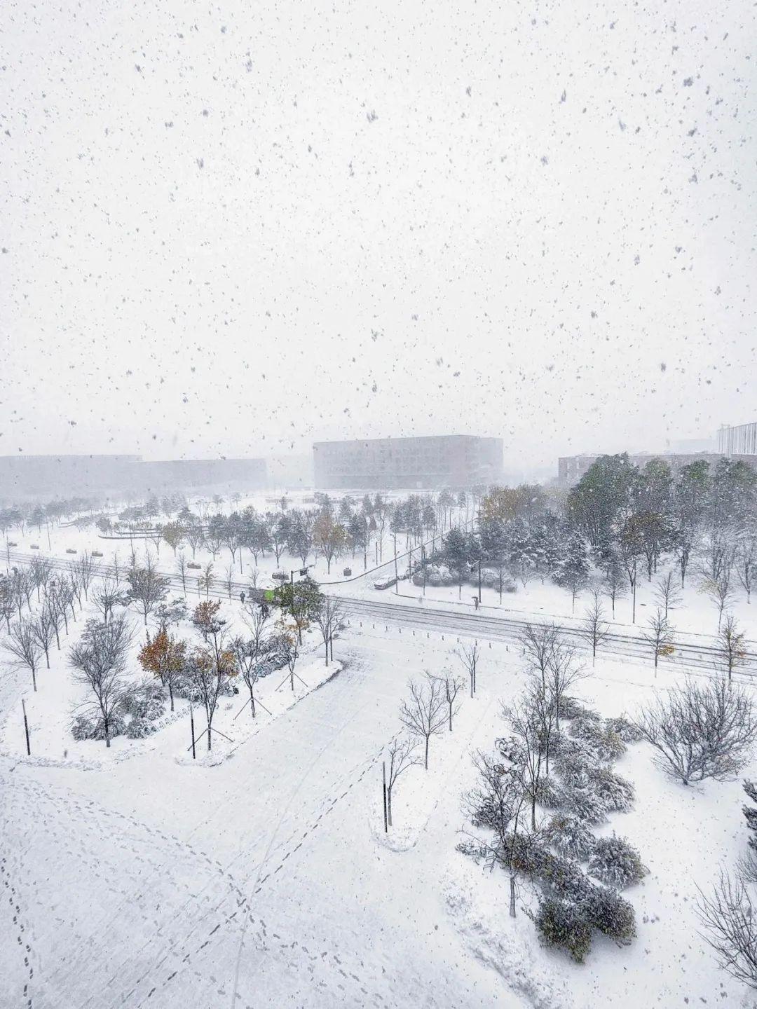 大寒节气,赴东北之约-大寒冬至区别