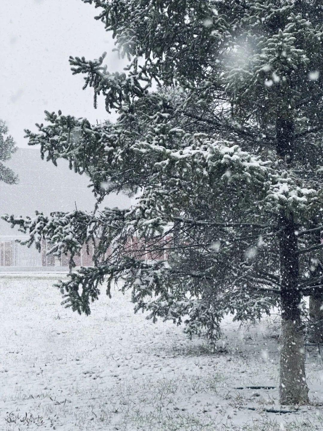 大寒节气,赴东北之约-大寒冬至区别