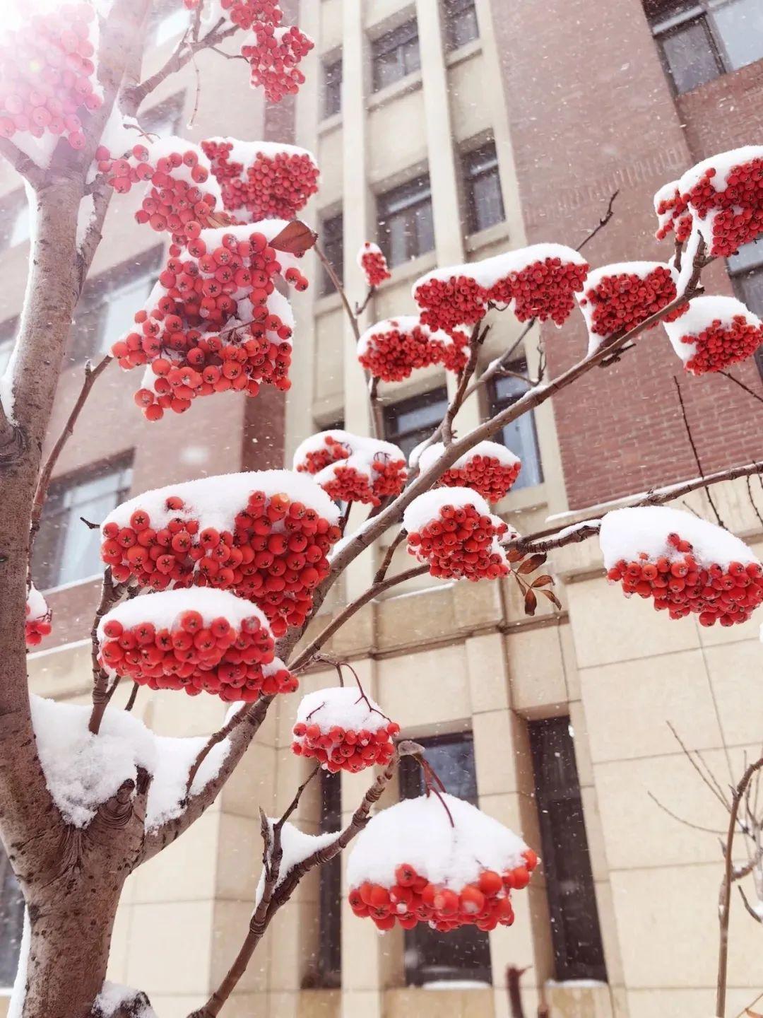 大寒节气,赴东北之约-大寒冬至区别