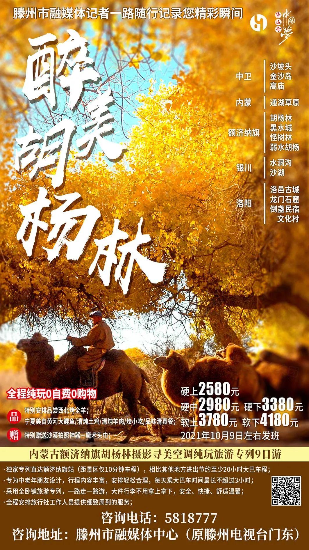 这个暑假相约去东北,呼伦贝尔看草原,一起“闯关东”,一路向北再向北-7月16号我带你去呼伦贝尔的短视频