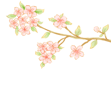 生态福州,如你所见!-福州生态鸟岛在哪里