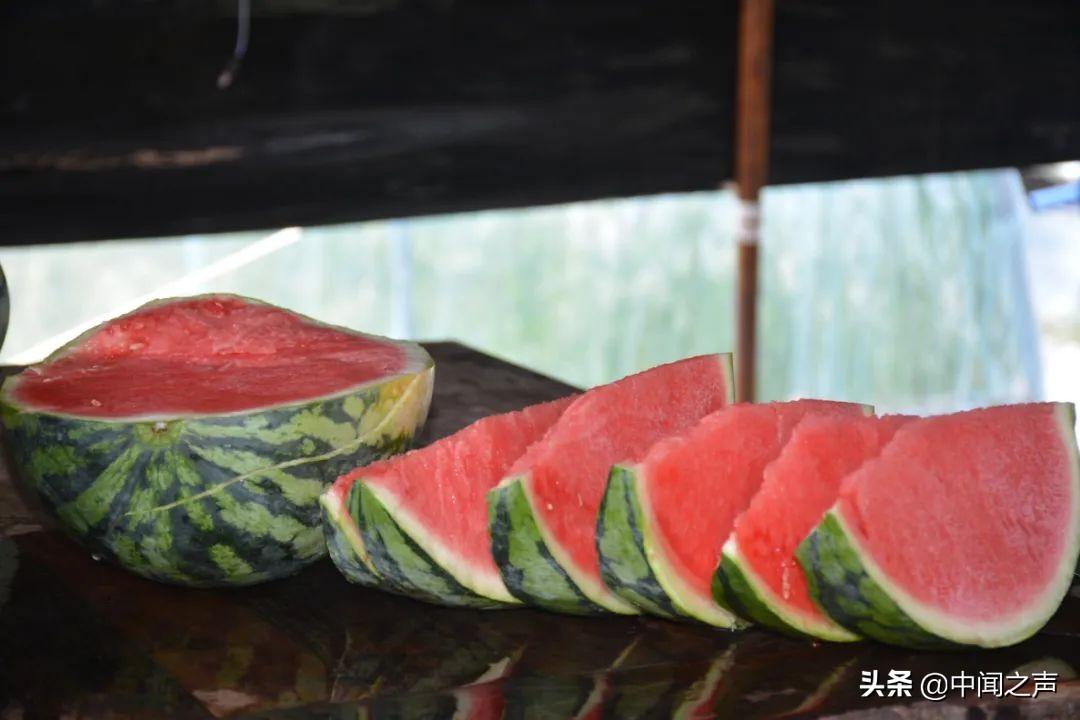 20余万斤西瓜滞销,“吃瓜群众”快来帮忙-西瓜滞销解决方案有哪些问题