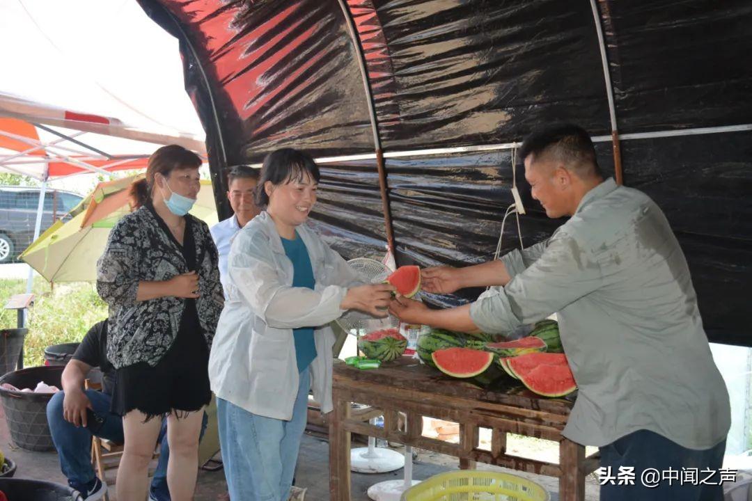 20余万斤西瓜滞销,“吃瓜群众”快来帮忙-西瓜滞销解决方案有哪些问题