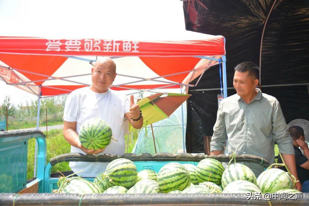 20余万斤西瓜滞销,“吃瓜群众”快来帮忙-西瓜滞销解决方案有哪些问题