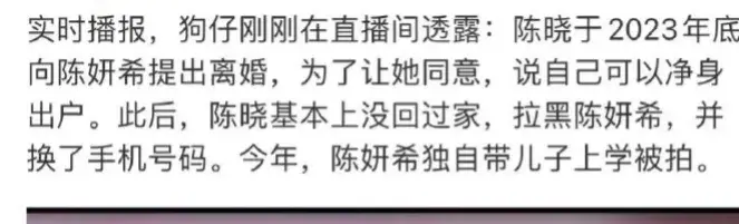 狗仔曝陈晓陈妍希离婚细节:男方净身出户,拉黑女方,曝去年内幕-陈晓与陈妍希的结婚照