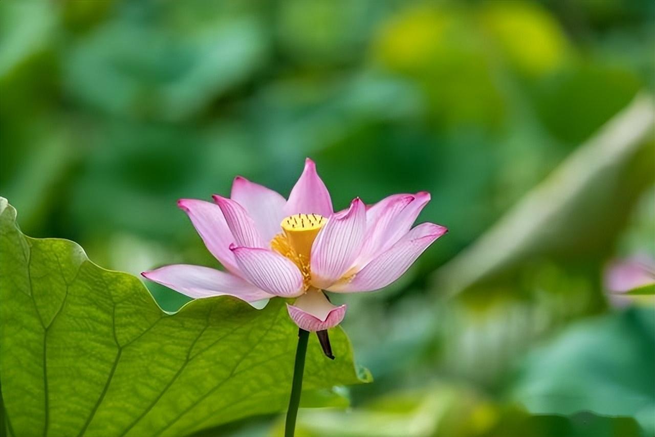 强降雨高温中心已定,今天夜间至6月20日天气预报,暴雨分布如下-天气预报60天精准度