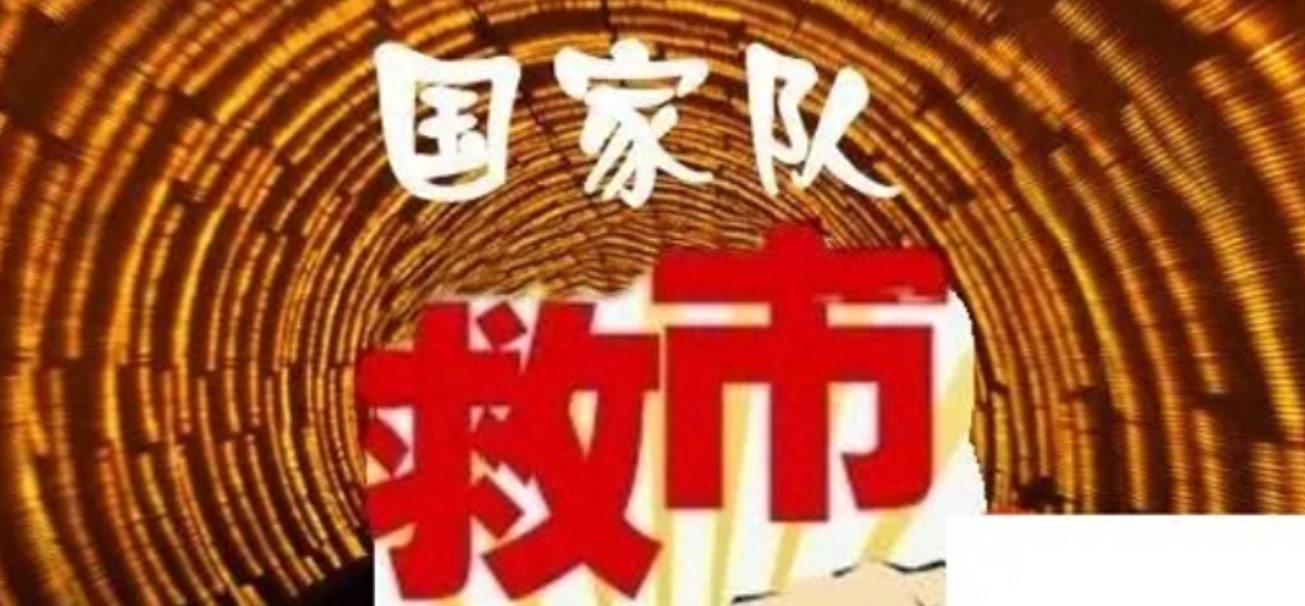 重磅!时隔201天,国家队再次“救市”,这次盯上的是它!-国家进场救市