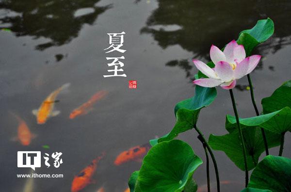 今日夏至:盛夏,如约而至-夏天如约而至的诗句